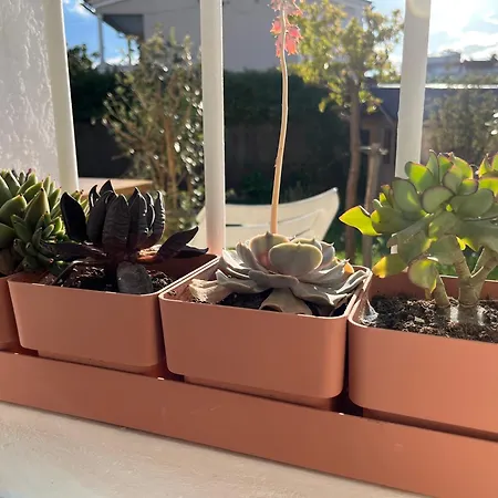 Appartement Deux Pièces Donnant Sur Un Jardin